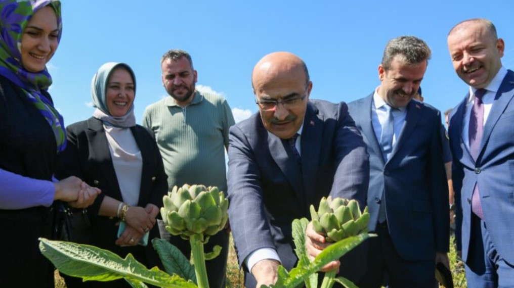 Bursa Valisi Demirtaş, Hasanağa enginarının hasadına katıldı