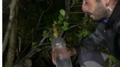 Yolda gördüğü yavru ayıyı biberonla besledi