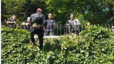 Bursa’da kedi kurtarma operasyonu