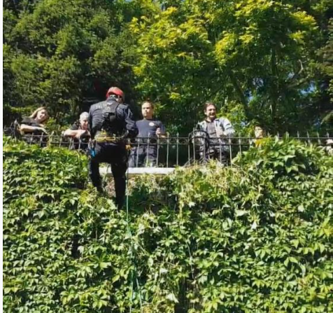 Bursa’da kedi kurtarma operasyonu