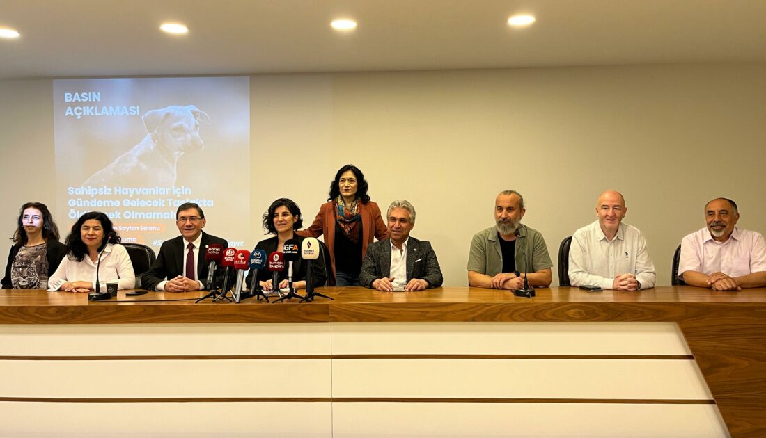 Bursa’dan sahipsiz hayvanların ‘uyutulması’ tasarısına tepki