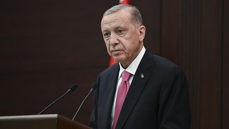 Erdoğan, Norveç Başbakanı Store ile görüştü