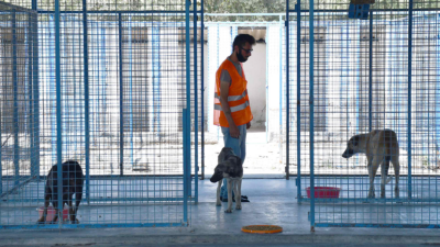 Hayvanları koruma kanunu yenileniyor