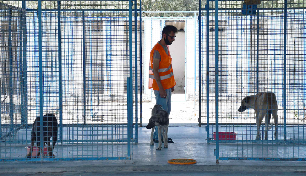 Hayvanları koruma kanunu yenileniyor