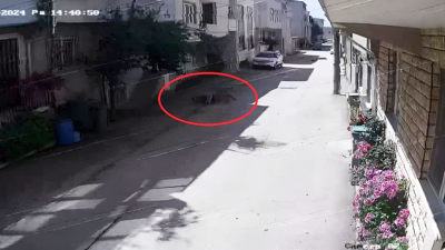 Bursa’da 3 çocuğu ısırdılar: Polisin köpeklere müdahalesi kamerada