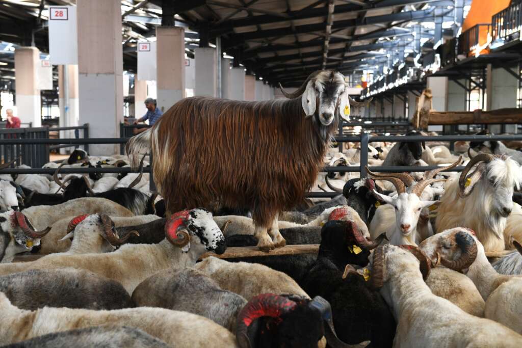 Osmangazi’de bayram hazırlıkları tamam