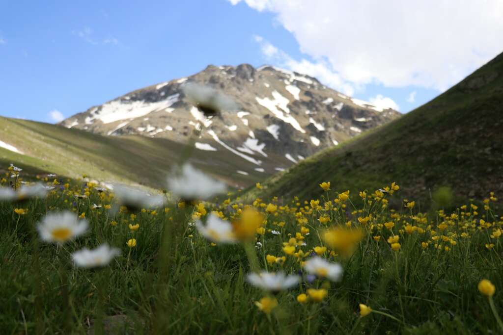 Dulağa Yaylası’nın Alpler’i aratmayan güzelliği