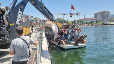 Bursa sahiline 3 metrelik ölü yunus vurdu