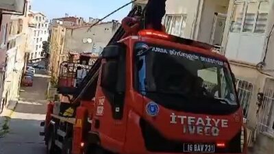 Bursa’da kuş kurtarma operasyonu
