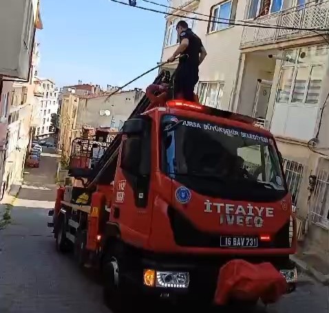 Bursa’da kuş kurtarma operasyonu