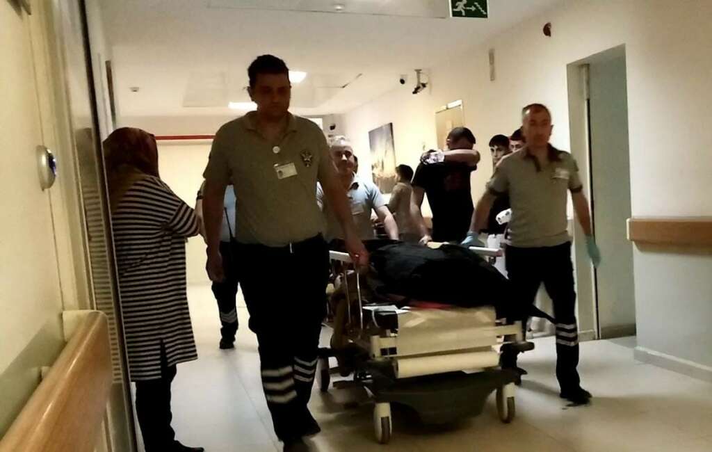 Ihlamur ağacından düşen adam hayatını kaybetti Ihlamur ağacından düşen adam hayatını kaybetti