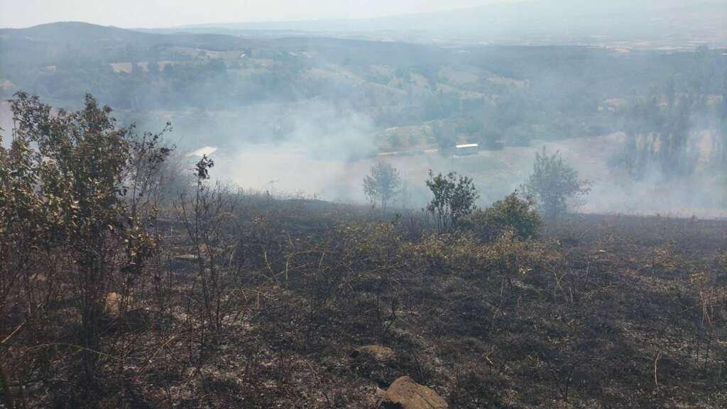 Bursa’da 1,5 hektar otluk alan yandı