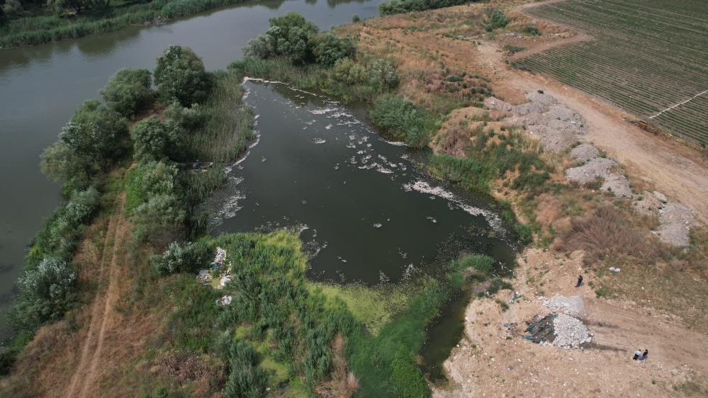 Bursa’da tedirgin eden görüntü: Binlerce balık ölmeye başladı!
