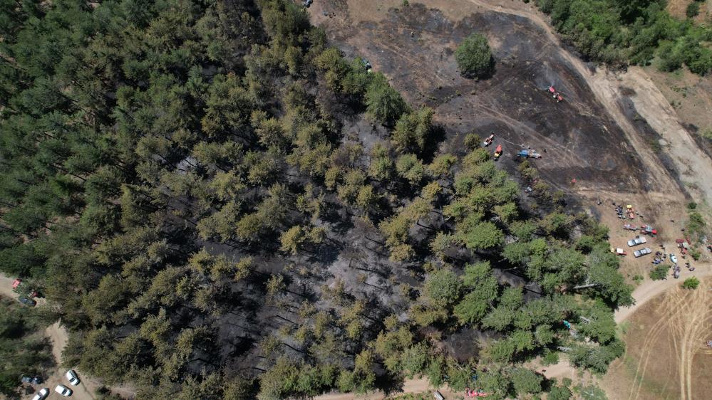 Bursa’da orman yangınında yürekleri serinleten detay
