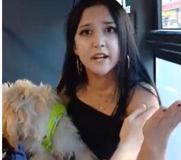 Köpekle otobüse bindi, tepki gösteren yolcularla tartıştı