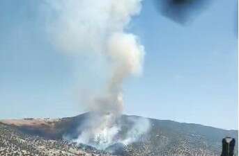 Manisa’da orman yangını