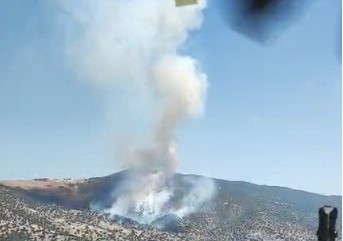 Manisa’da orman yangını Manisa’da orman yangını