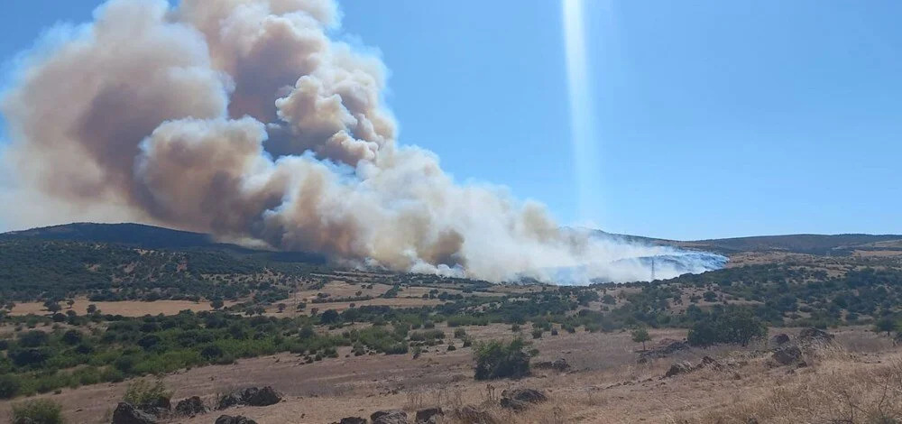 Çanakkale ve İzmir’de orman yangını: Havadan ve karadan müdahale başladı
