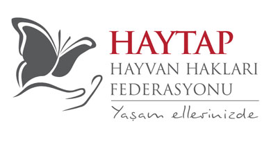Kaçak getirilen 371 canlı hayvan korumaya alındı Kaçak getirilen 371 canlı hayvan korumaya alındı