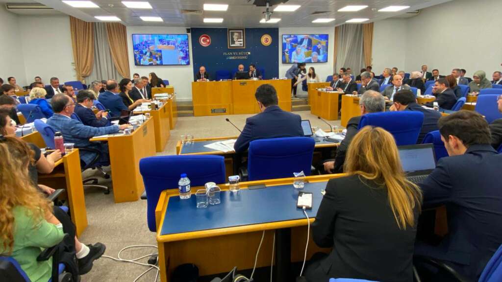 Sokak hayvanlarına ‘ötanazi’ öngören yasa teklifi komisyondan geçti
