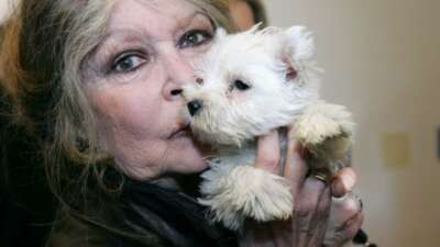 Brigitte Bardot kimdir?