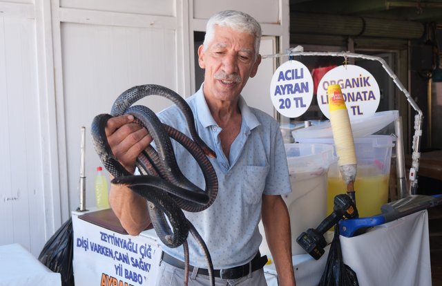 Koynunda yılan besliyor