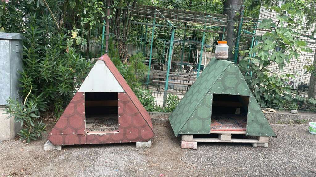 Bursa’da yeni doğan kedi, polis merkezinin maskotu oldu