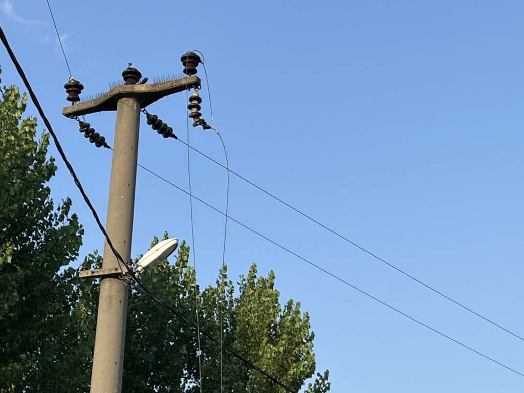 Kuşun çarptığı teller bütün mahallenin elektriğini kesti