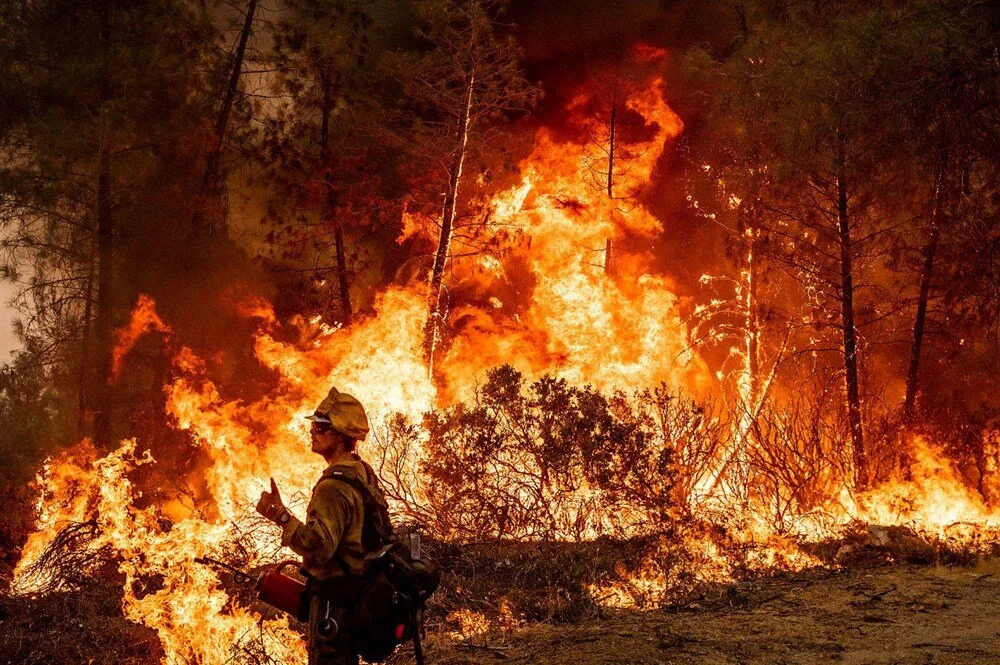 California’da orman yangınlarında 350 bin dönümden fazla alan küle döndü