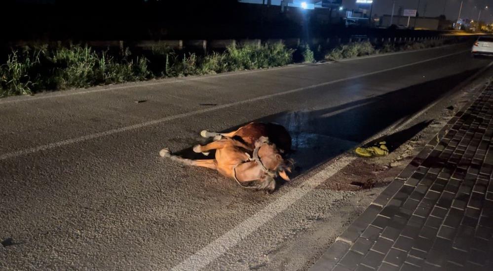 Bursa’da ata çarpıp kaçtılar