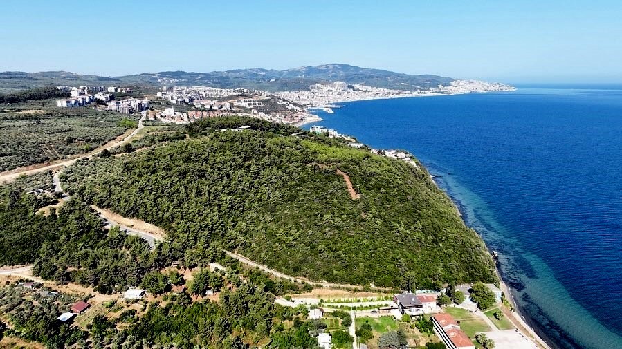 Bursa’da deniz manzaralı orman ihalesine en yüksek fiyat özel sektörden