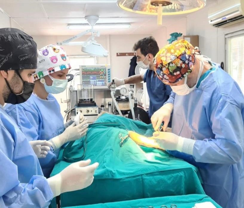 Osmangazi’de sokak hayvanları kısırlaştırılıyor