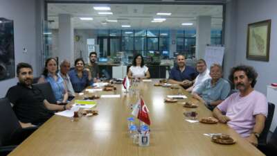 Mimarlar Odasından sokak hayvanları yasasına büyük tepki