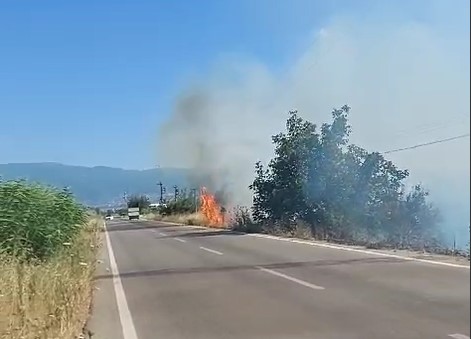 Bursa’da yangın… Yol kenarındaki otlar tutuştu!