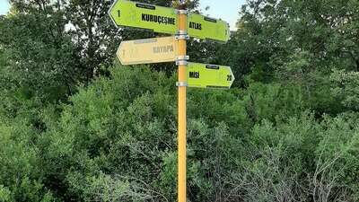 Orman Bölge Müdürlüğü duyurdu… Bursa’da orman parkı kiraya verilecek!