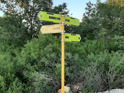 Orman Bölge Müdürlüğü duyurdu… Bursa’da orman parkı kiraya verilecek!