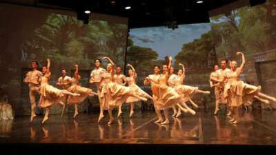Bodrum Bale Festivali’ne yoğun ilgi