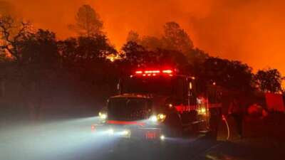 California orman yangını: 400 bin dönümden fazla alan kül oldu