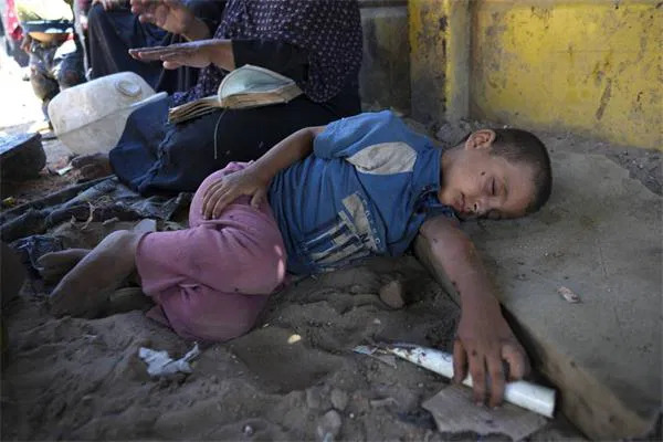 Fareler, akrepler ve hamamböcekleri Gazzelileri kuşatıyor