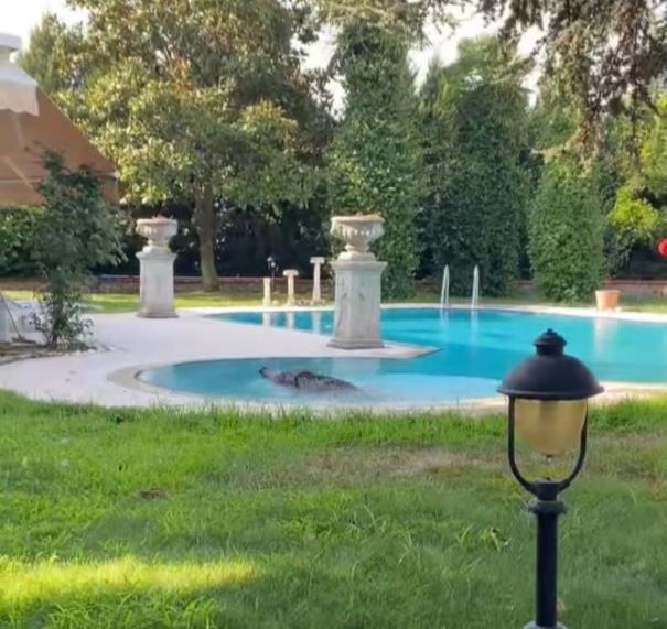 Bursa’da lüks villada şoke eden olay!