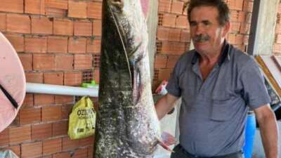 Bursa’da barajda 87 kilogramlık balık yakalandı