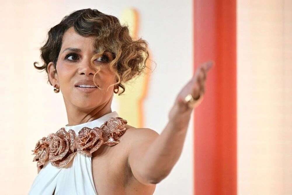 Halle Berry oğlunun velayetini almak için harekete geçti