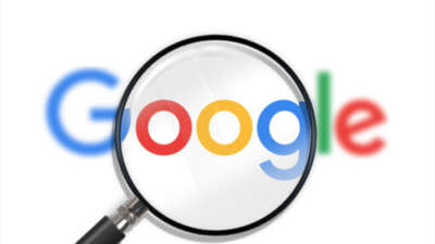 Google verileri incelendi: İnsanlar en çok neyi öldürmek istiyor?