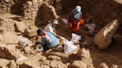 Göbeklitepe kadar eski: Sayburç Ören Yeri’nde kazı sürüyor