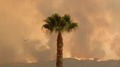 California’daki üç orman yangınında 100 bin dönümden fazla alan kül oldu