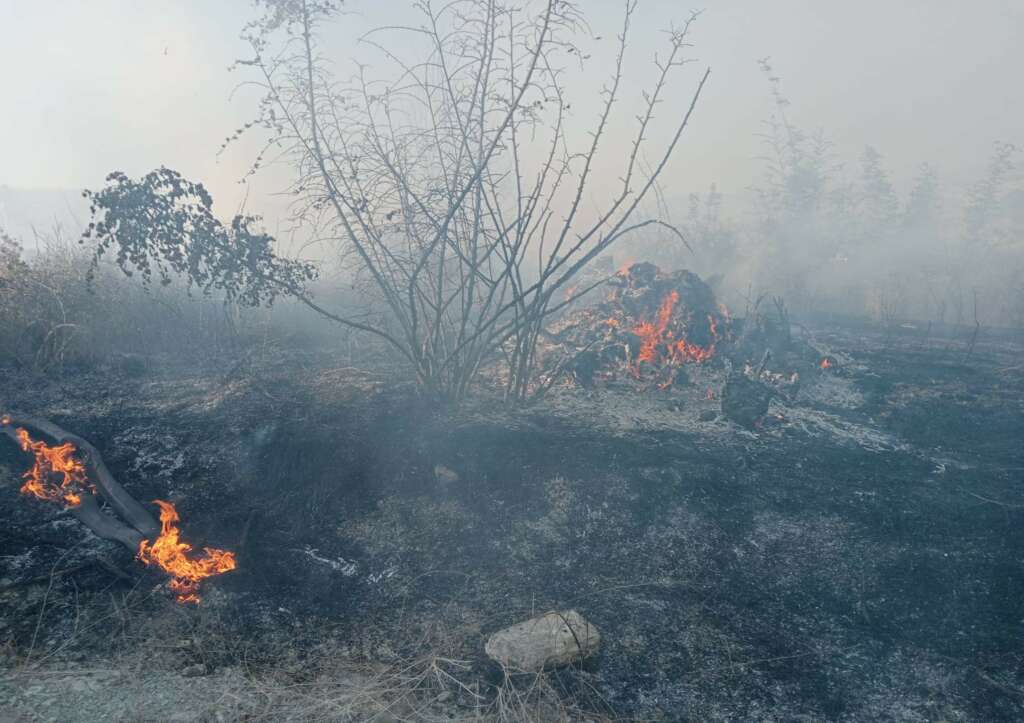 Bursa’da ormanlık alanda çıkan yangına havadan ve karadan müdahale edildi