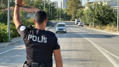 Bursa’da yunuslar göz açtırmıyor! Her güne bir tabanca