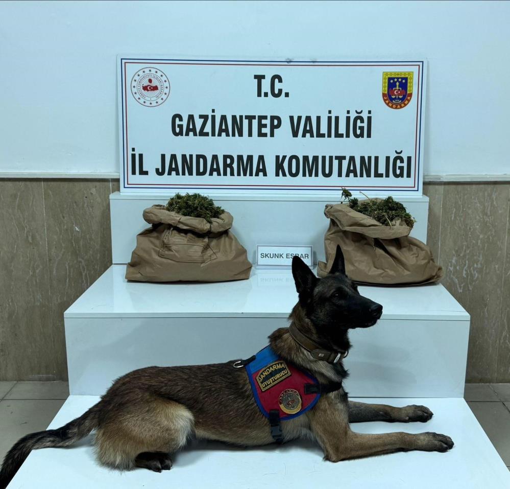 Uyuşturucu tacirine jandarma baskını Uyuşturucu tacirine jandarma baskını