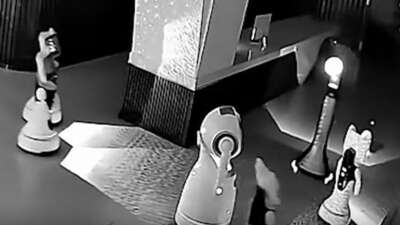 Çin’de küçük bir robot, 12 robotu kaçırdı