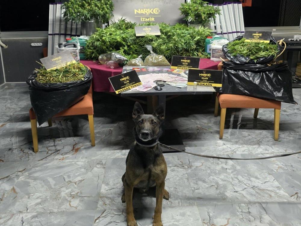 İzmir’de zehir tacirlerine ‘Rex’li baskın: 1 tutuklama